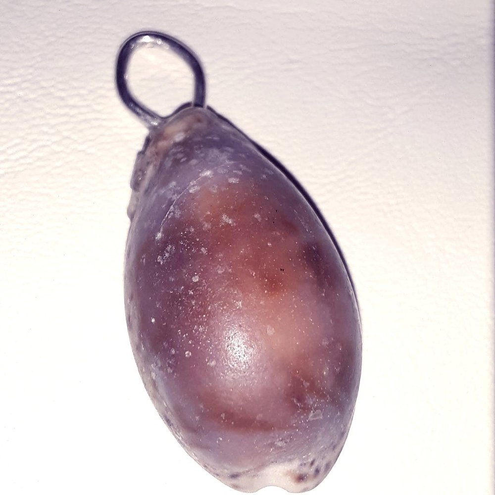 Cowry Shell Pendant (Silver)